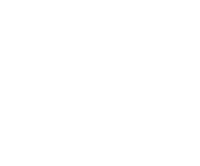 SKF-slider