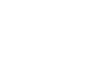 Schaeffler-slider