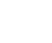 Trico-slider