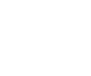 Wahler-слайдер